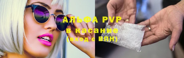 стафф Армянск