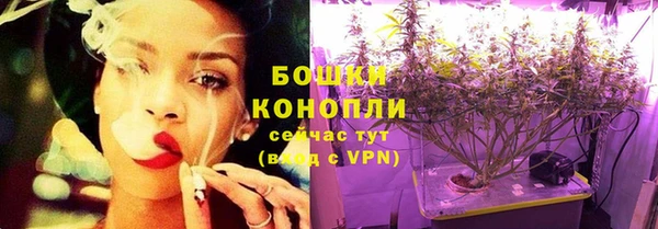 амф Арсеньев