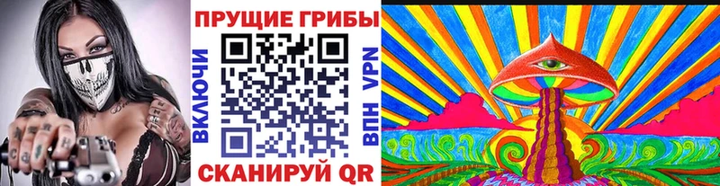 Галлюциногенные грибы мицелий  что такое наркотик  Опочка 